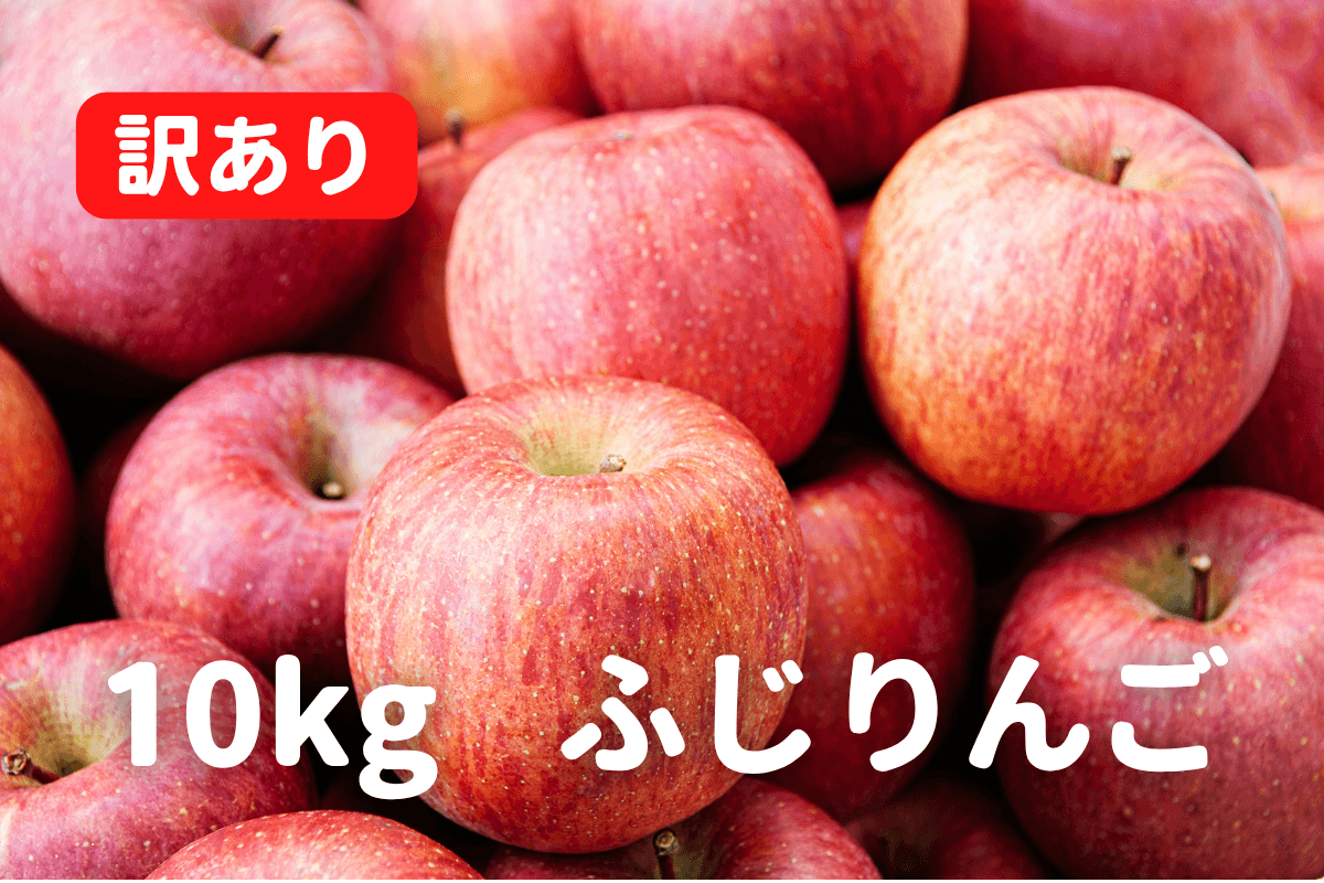 ふじりんご 訳あり 10kg