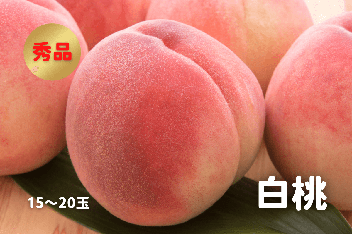 白桃 秀品 5kg