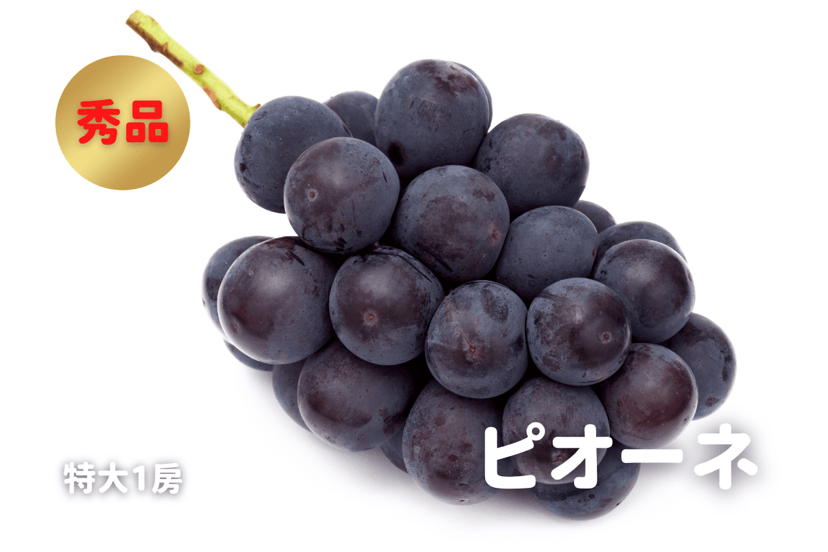 ピオーネ 秀品 1房・約700g